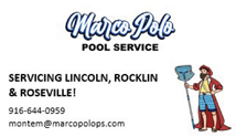 marco polo pool service, sponsor, shakespeare in the park