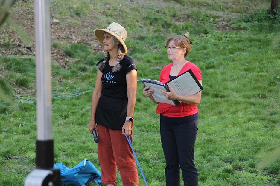 volunteer, performing arts, service, community, theater 2026